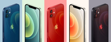 Welches iPhone 12 ist das beste